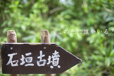 s_MG_7843