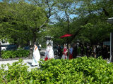 参進