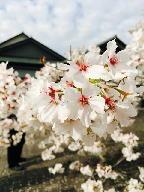 写真 2