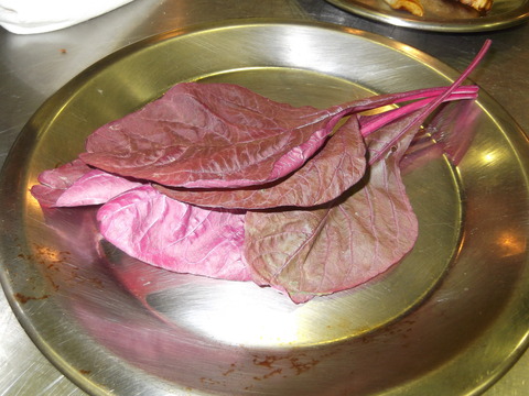 DSCF1234