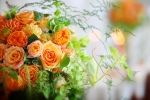 s-IMG_0137
