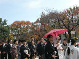 sCIMG4110