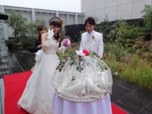 DSC08219
