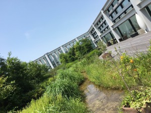 IMG_0728