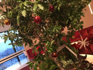 img_7134_r
