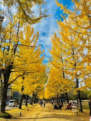 岐阜堪能旅🍁