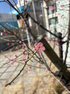 小さな幸せ