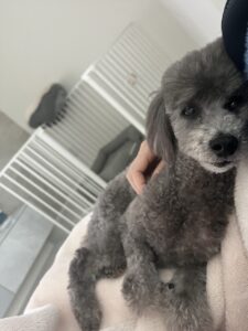 卒業したいもの