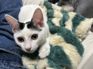 家族をお迎えしました！